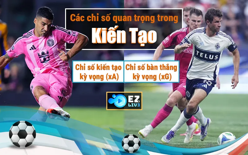 Các chỉ số quan trọng trong kiến tạo