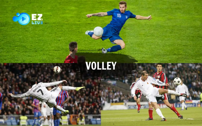 Volley