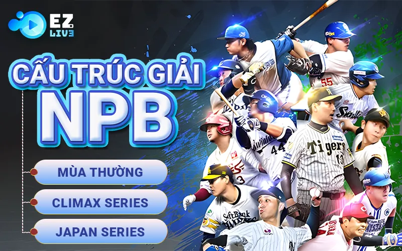 Cấu trúc giải NPB