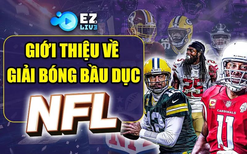 NFL là gì? Giới thiệu về giải bóng bầu dục hot nhất nước Mỹ