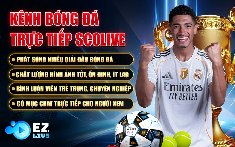 Kênh xem trực tiếp bóng đá scolive